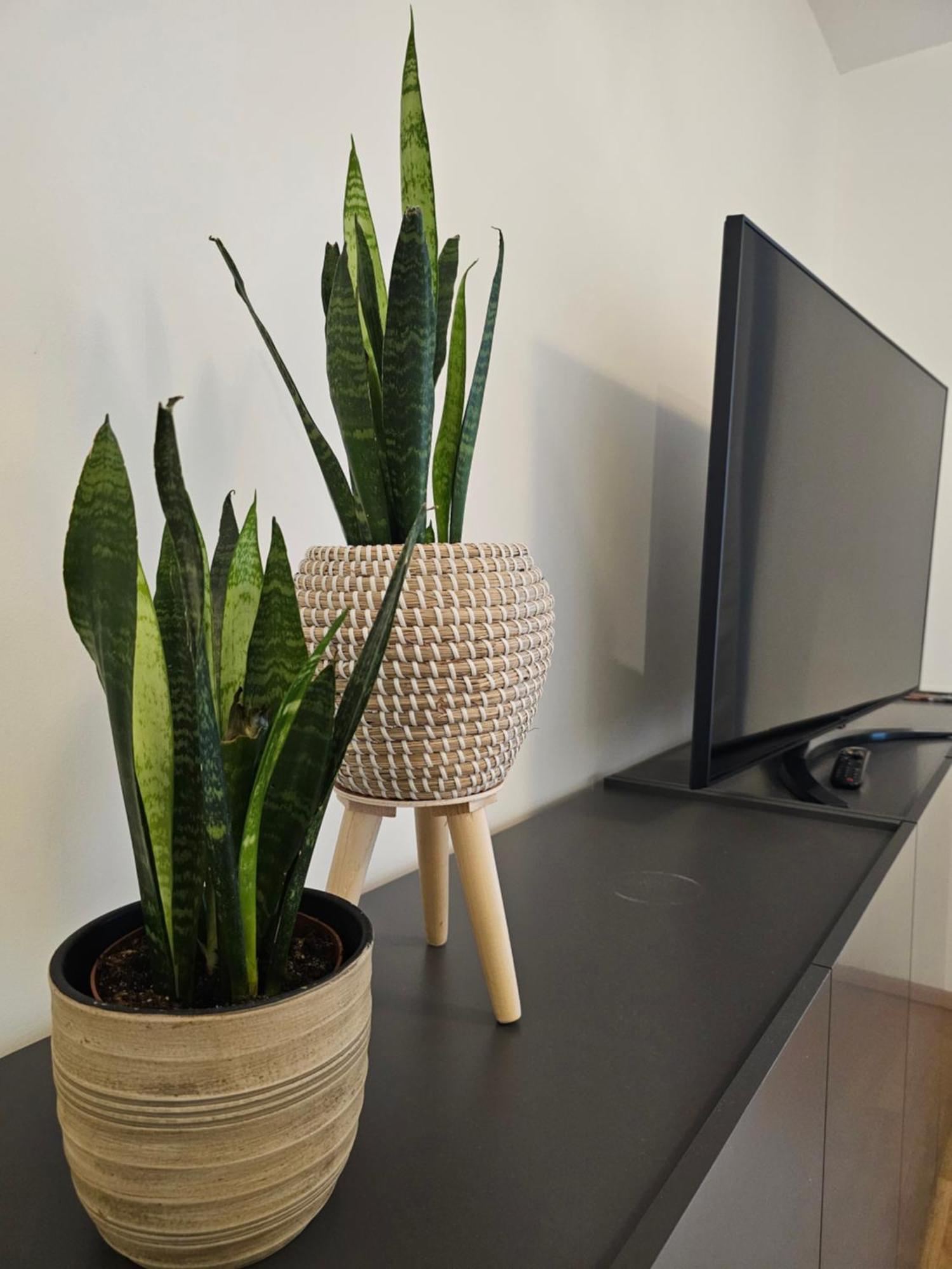 נירנברג High Class - Design Apartment - Favorite Place - Full Equipment - Public Transport מראה חיצוני תמונה